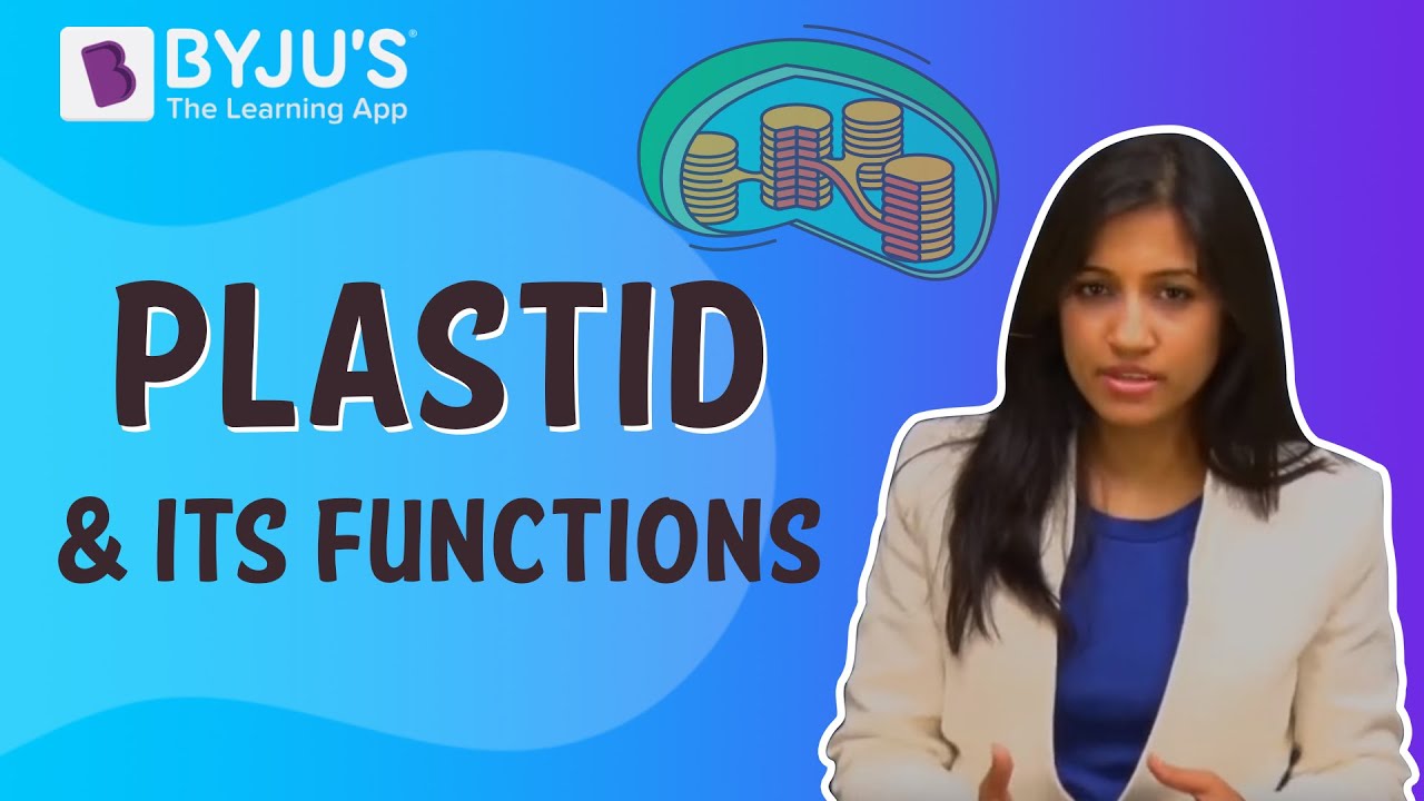 Plastid and its Functions