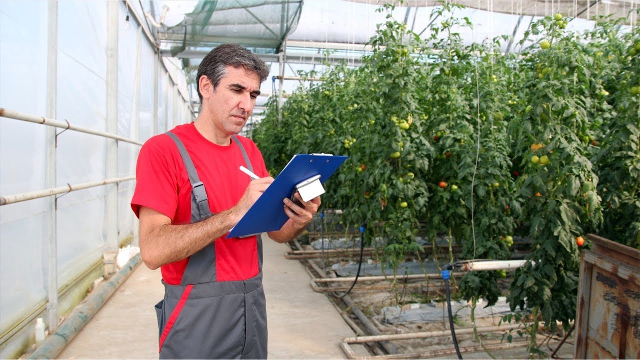 Nursery and Greenhouse Manager Career Video