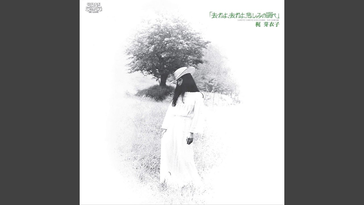 雨の夜あなたは