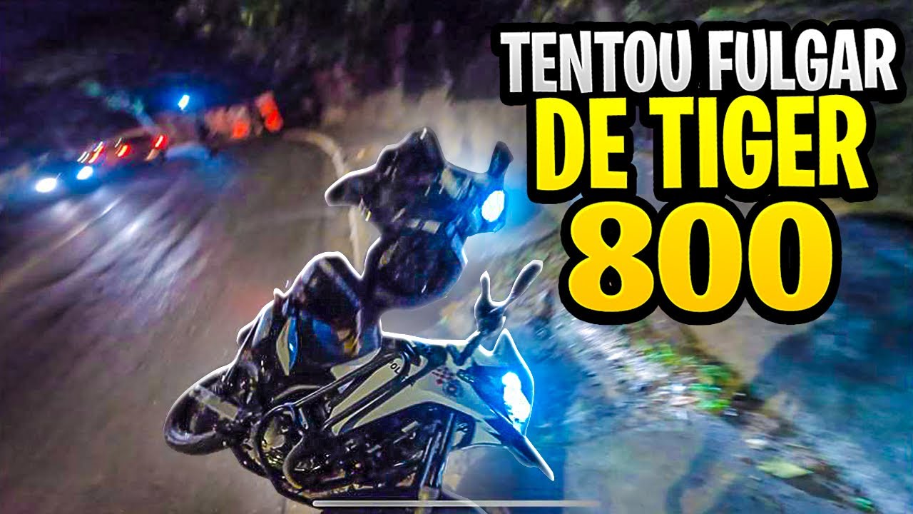 Emocionado de Tiger 800.