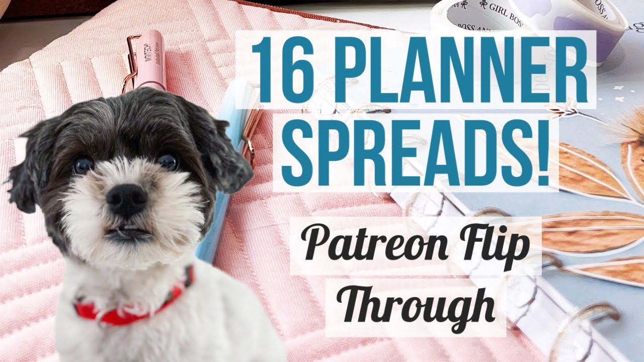 Happy Planner Spread Flip Through! 16 Custom Planner Spreads I Made for My Patrons in Feb 2023