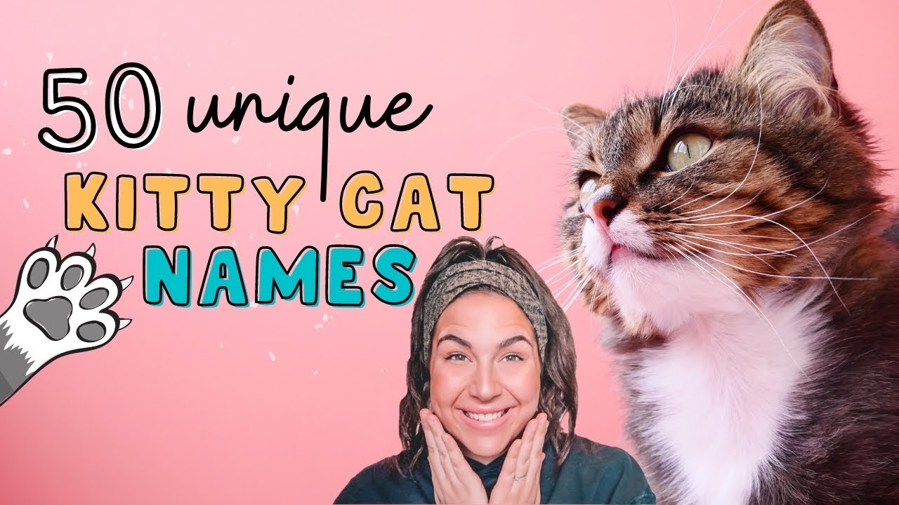 50 BEST UNIQUE CAT NAMES! (Girl & Boy) | Viewers Kitten/Cat Name Ideas For Male & Female! 🐱