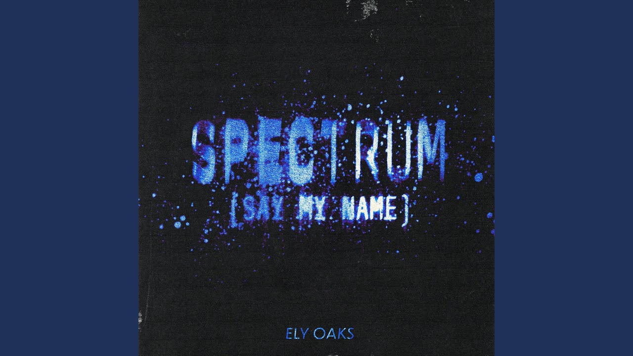 Spectrum (Say My Name)