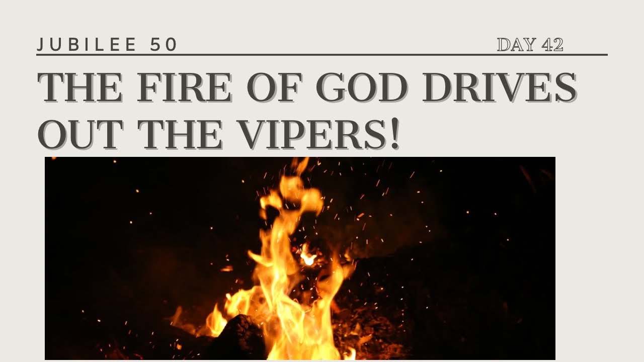 THIS IS HOW YOU HANDLE LEVIATHAN | JUBILEE 50 | DAY 42