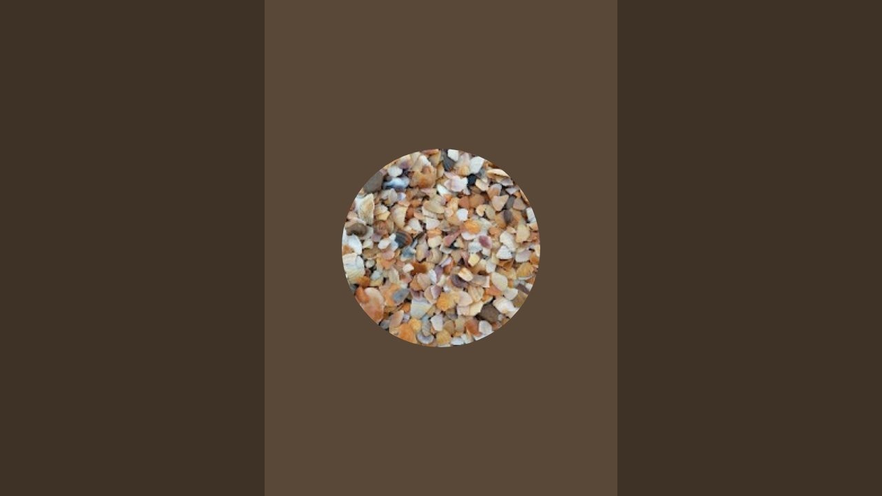 WTW в прямом эфире!
