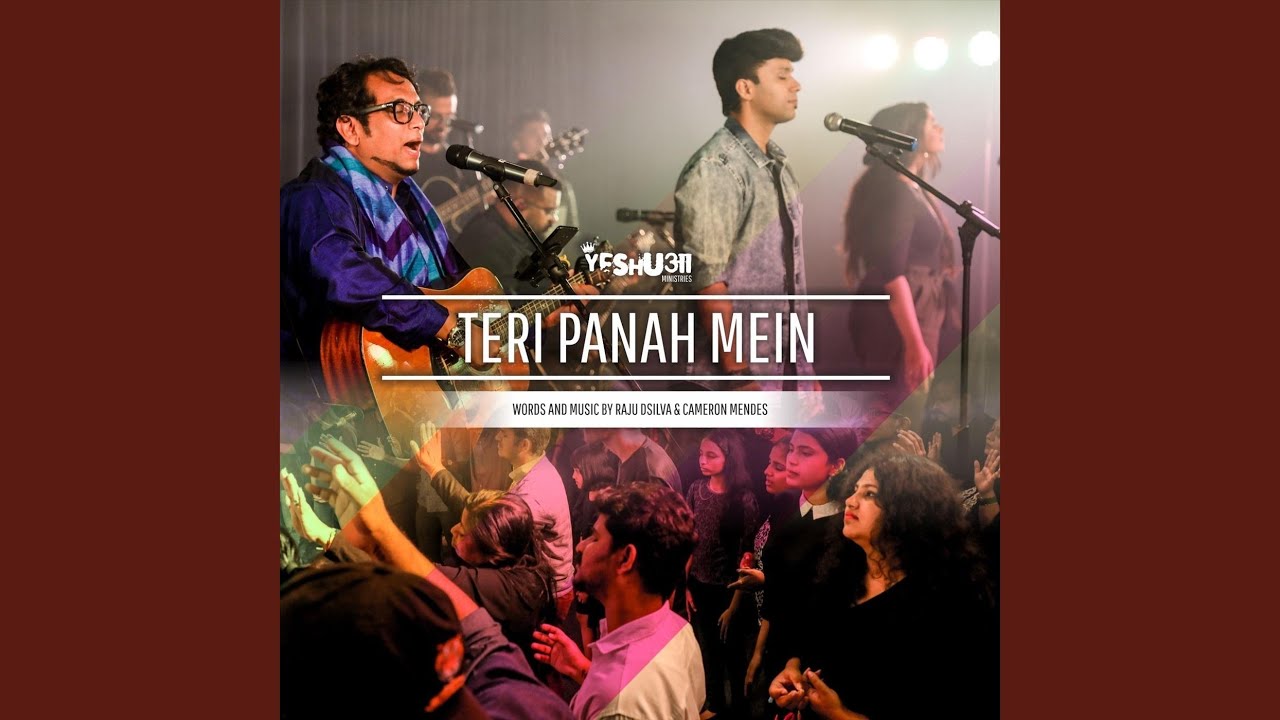 Teri Panah Mein