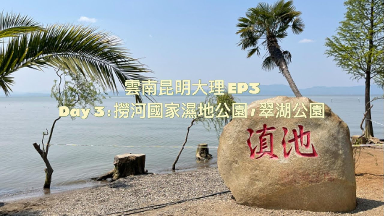 雲南昆明大理 EP3 - Day 3 : 撈河國家濕地公園 / 翠湖公園