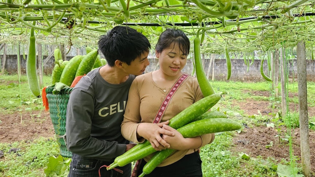 Harvesting agricultural products such as squash and melons to sell, Building a life with her husband