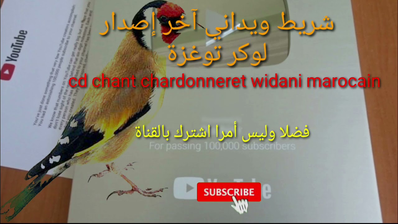 أجمل شريط لوكر توغزة