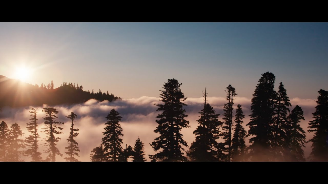 გურიის ეროვნული პარკის დაარსება - Creation of Guria National Park