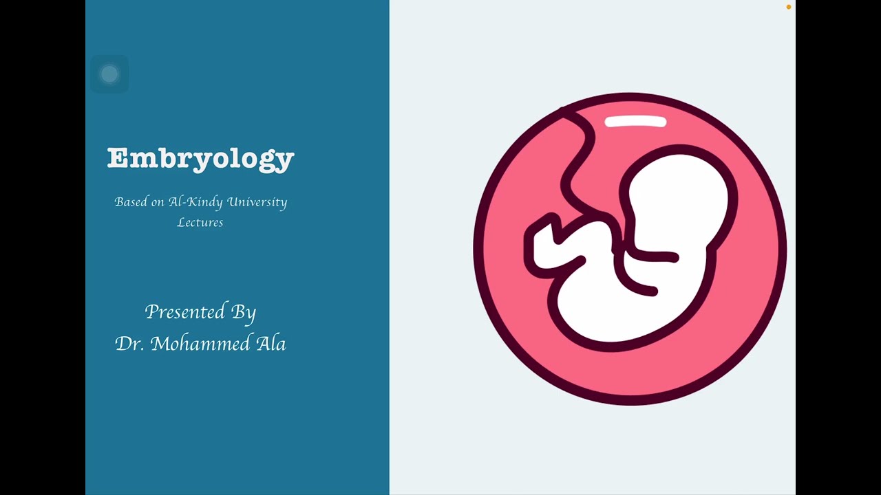 Neuro Embryo KIN Integumentary System