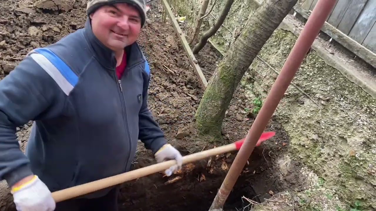 Fanii Lucrează la canalizare