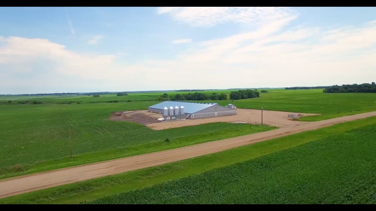 From Farm to Fork: Nursery & Grow Finish Farms
