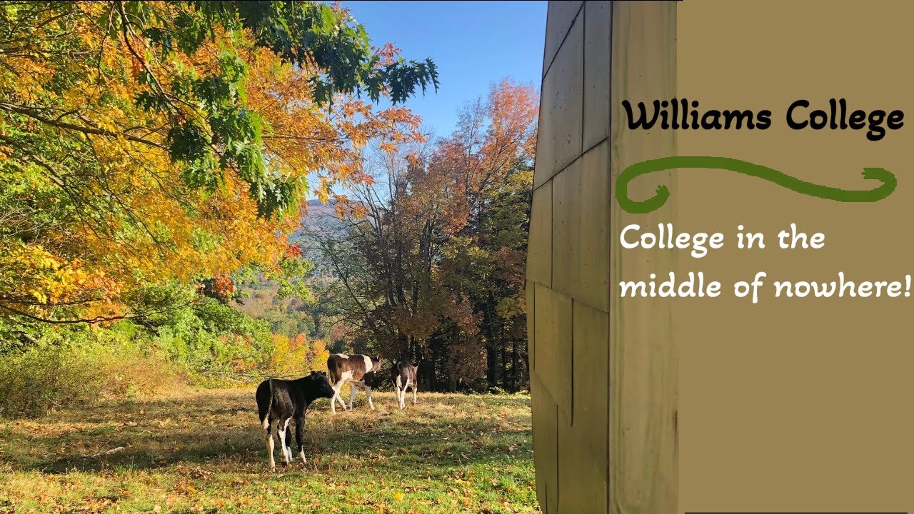 What they don't tell you about Williams College | Pros & Cons of a Rural Campus