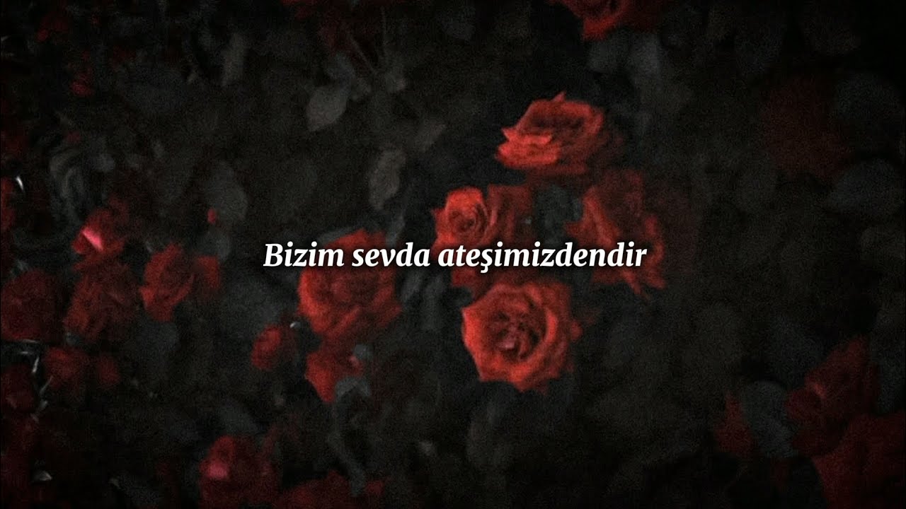 Asheghane Ha (T&uuml;rk&ccedil;e &Ccedil;eviri) Arash Fouladvand - Sara Naeini - Vahid Taj - Nigina Amonqulova