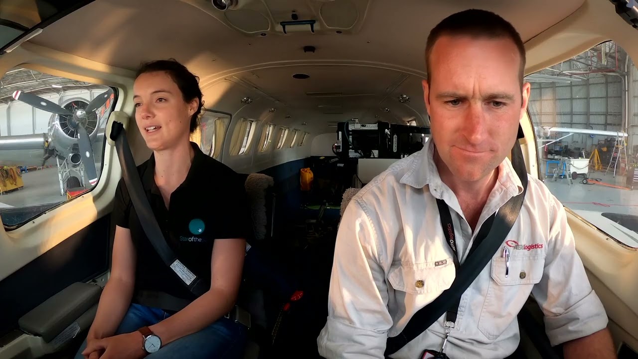 Bird surveys - aerial