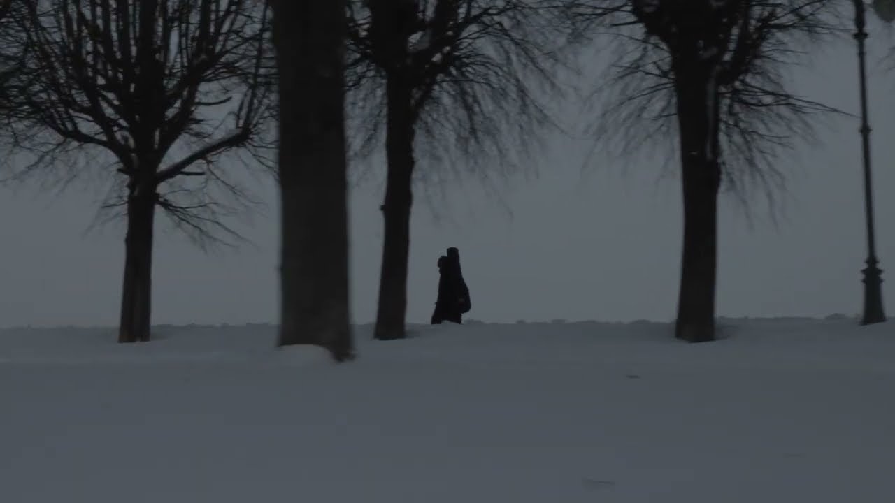 Исчезающий (2026)