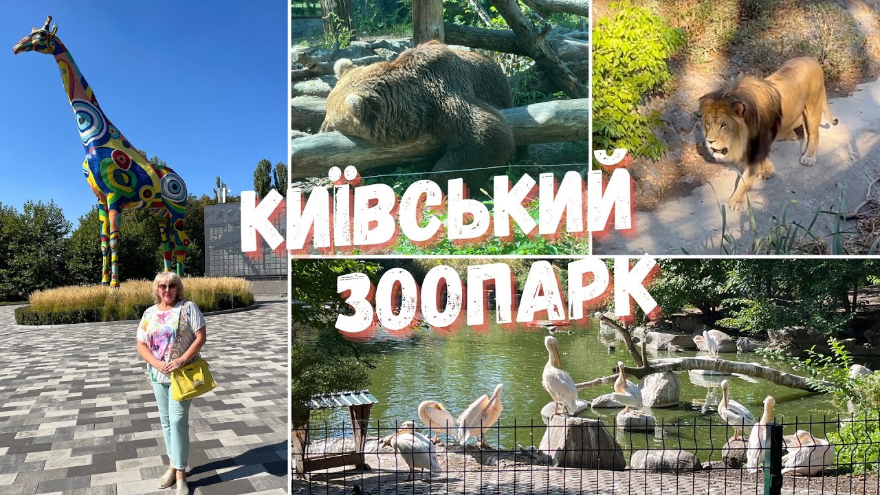 Зоопарк | Київ, Україна
