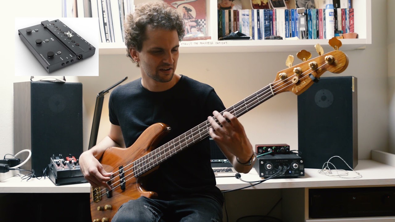 Bass Preamps/DI Comparison (Avalon U5 VS Lehle RMI Basswitch IQ DI) - No Difference?!