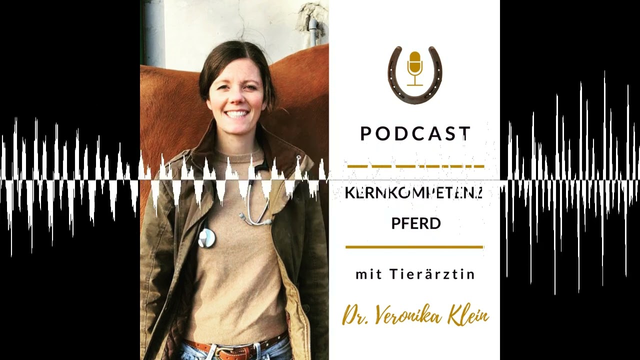 Hufrehe beim Pferd: Ursachen, Diagnose & neue Erkenntnisse
