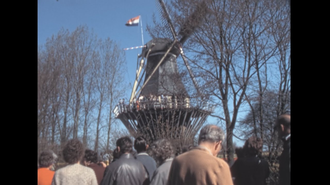 Keukenhof 1981 archive footage