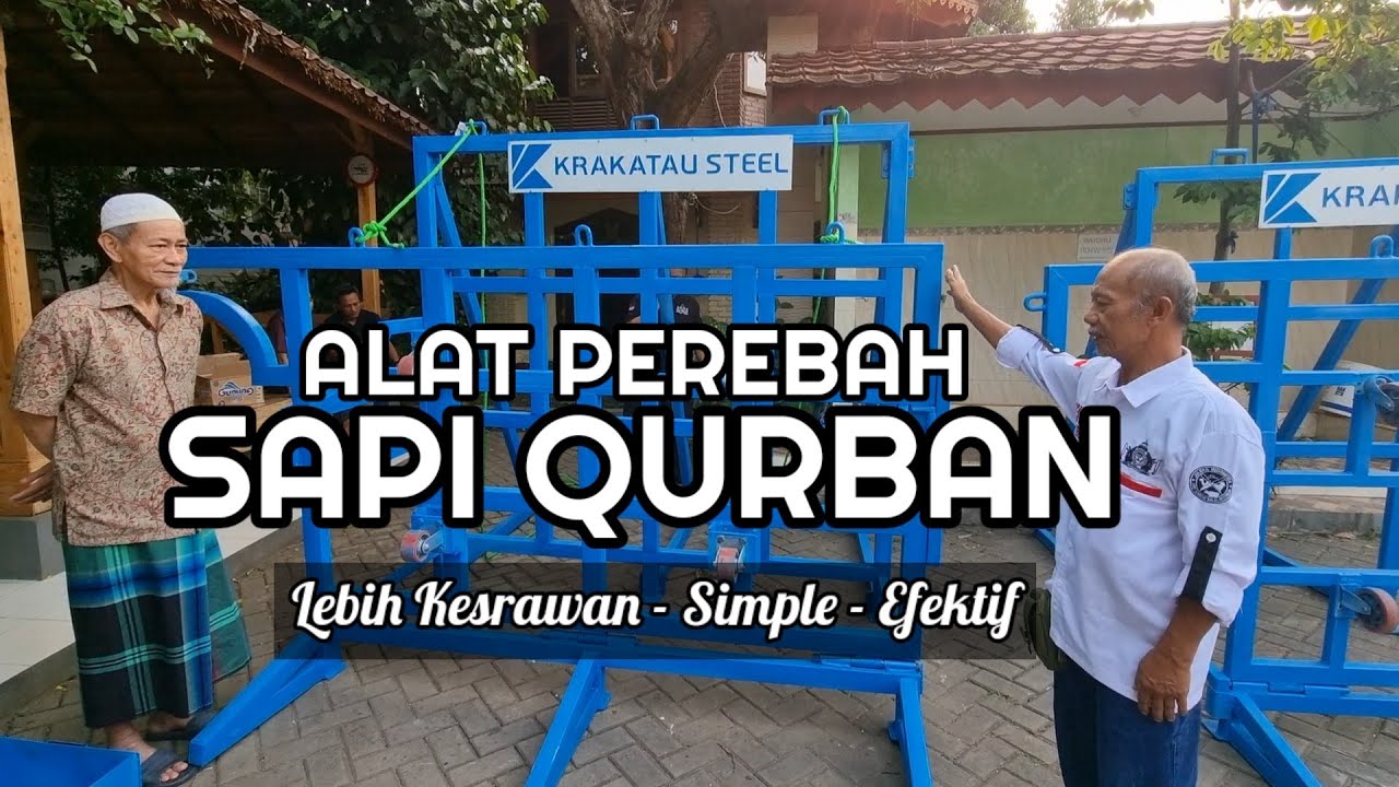 Alat Perebah Sapi dari Banten, Kesrawan Saat Qurban, lebih aman