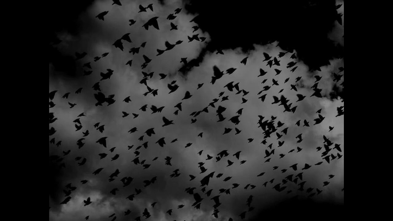 The Last Pale Light In the West (slowed / reverb).