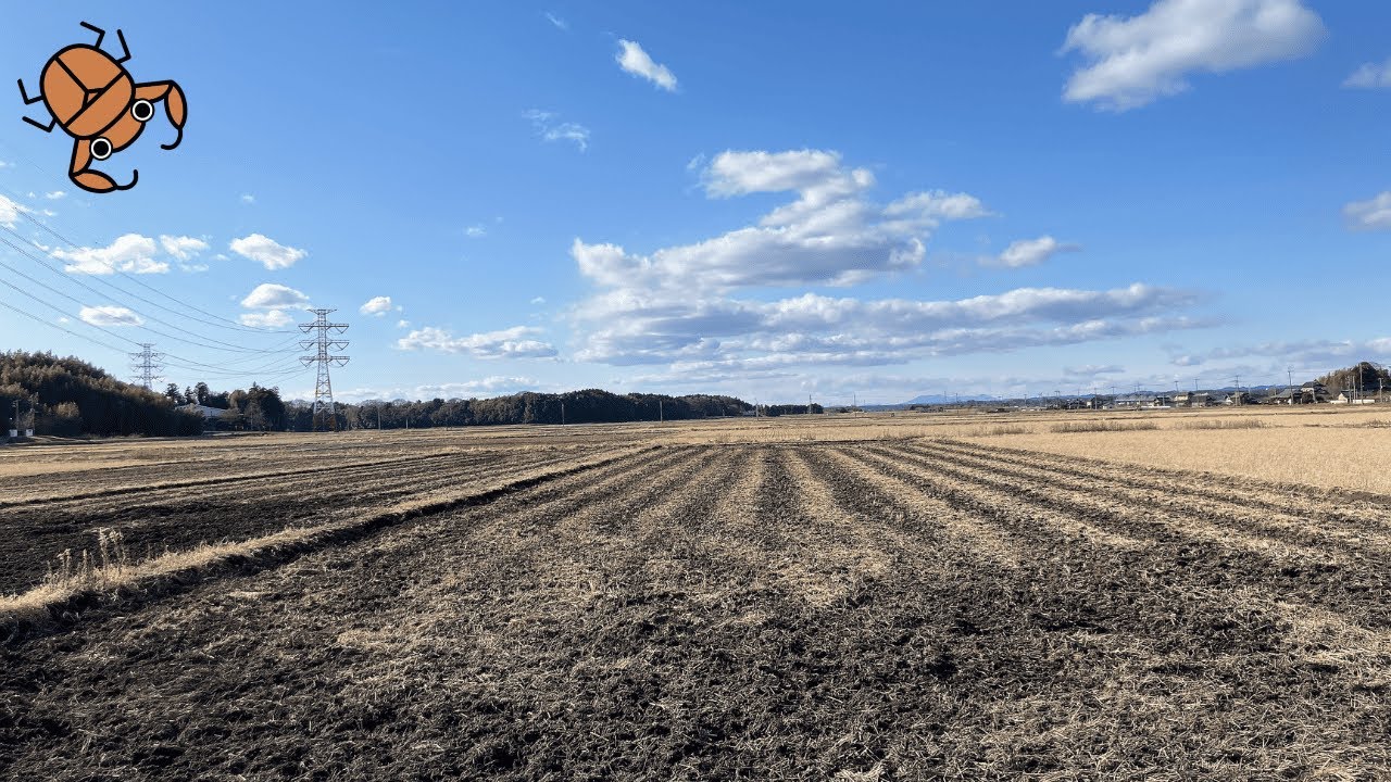 好きなことを仕事にする方法｜頑張りすぎない方が、夢は叶っていく話