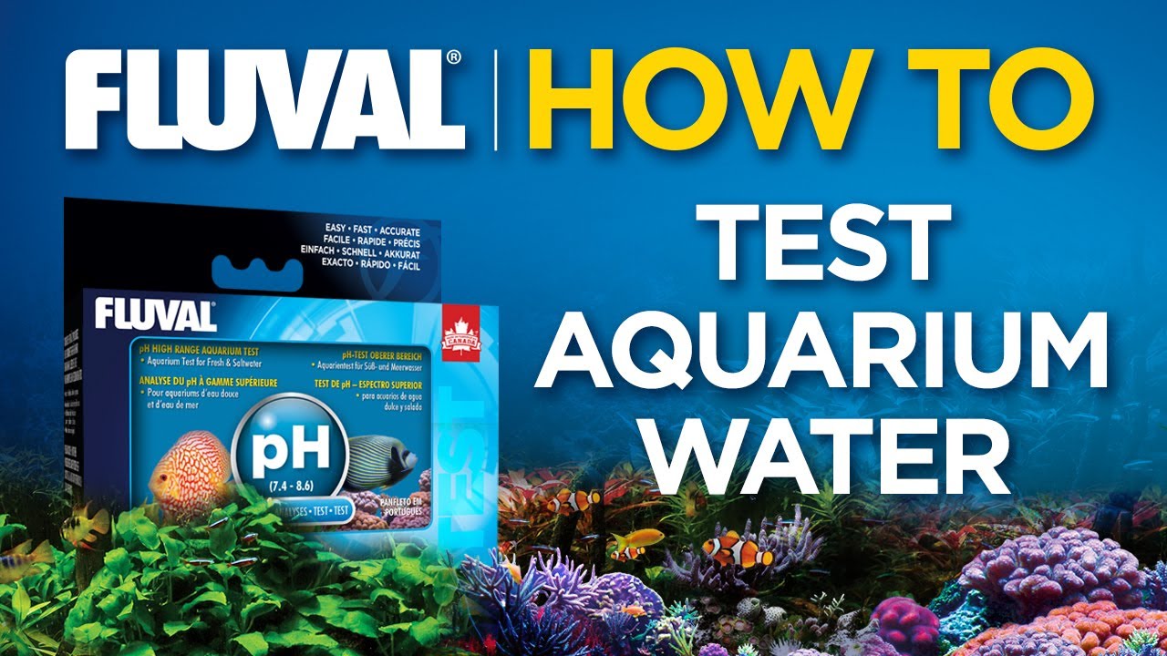 КАК ИСПОЛЬЗОВАТЬ: Тест-наборы Fluval