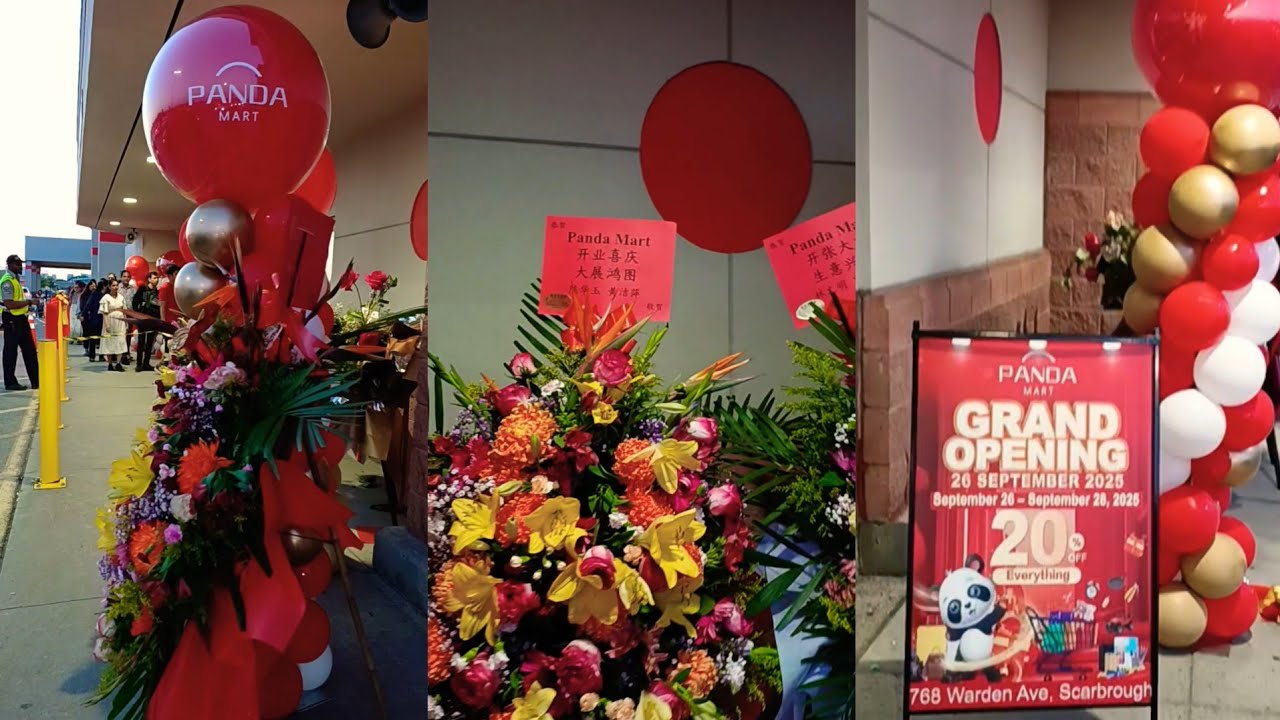 Pandamart 🏬 Toronto: First Showroom in Canada 🇨🇦