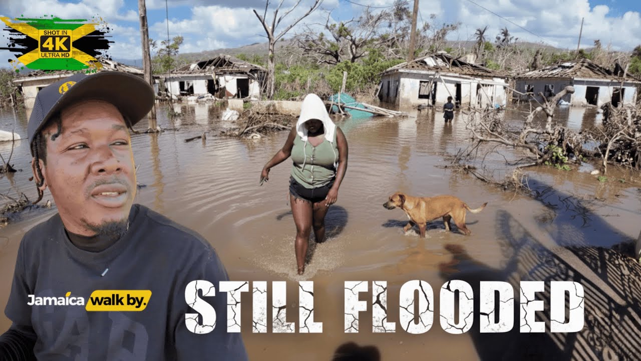 ✓⚠️ Reading District St Elizabeth Is GONE… Hurricane Melissa Took Everything 💔🇯🇲