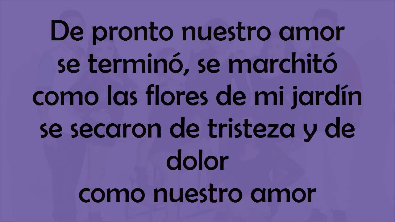 Días Felices - Puro Sentimiento [Letra]