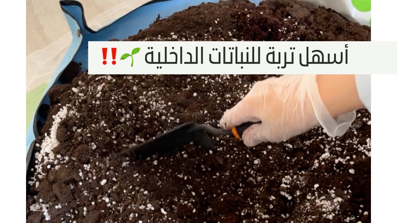 وأخيرًا جهزت تربة للنباتات الداخلية، أسهل وأفضل خلطة 👌🏼🌱