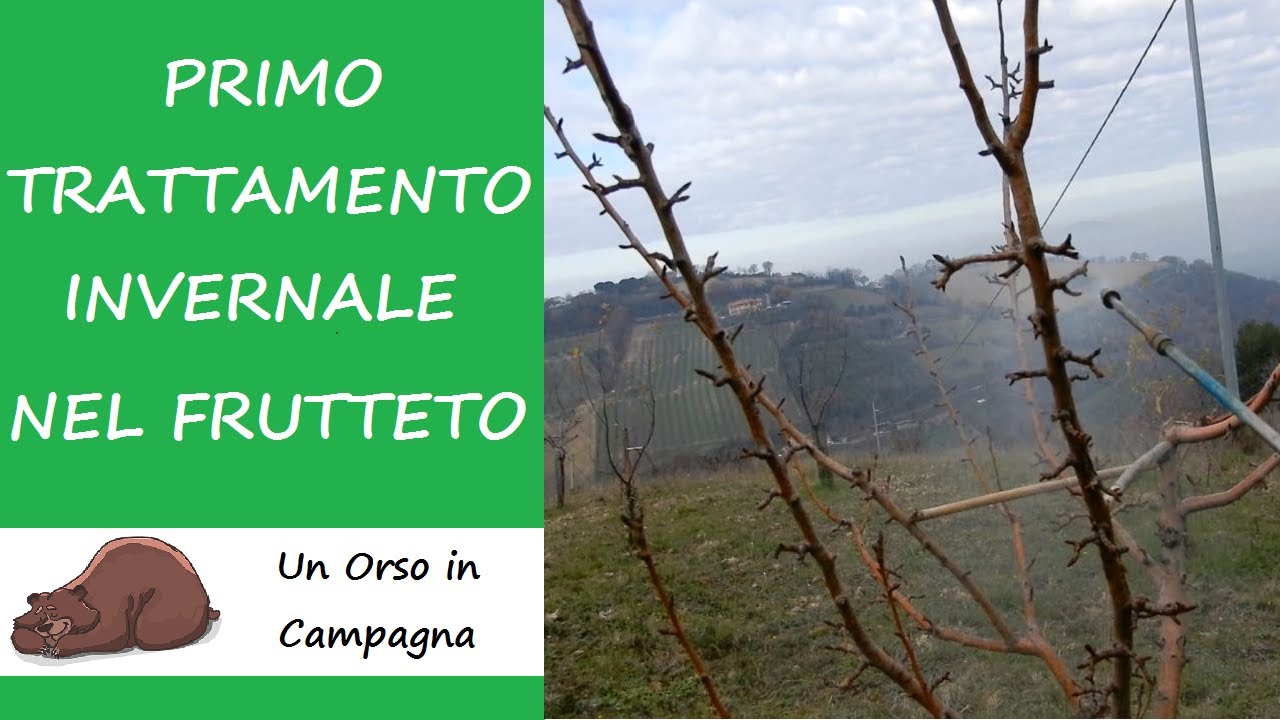 Trattamenti invernali nel frutteto con la POLTIGLIA BORDOLESE