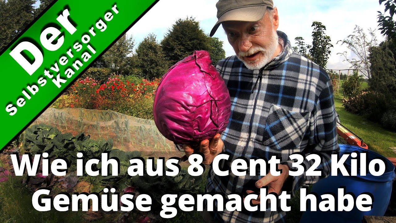 Wie ich aus 8 Cent 32 Kilo Gemüse gemacht habe
