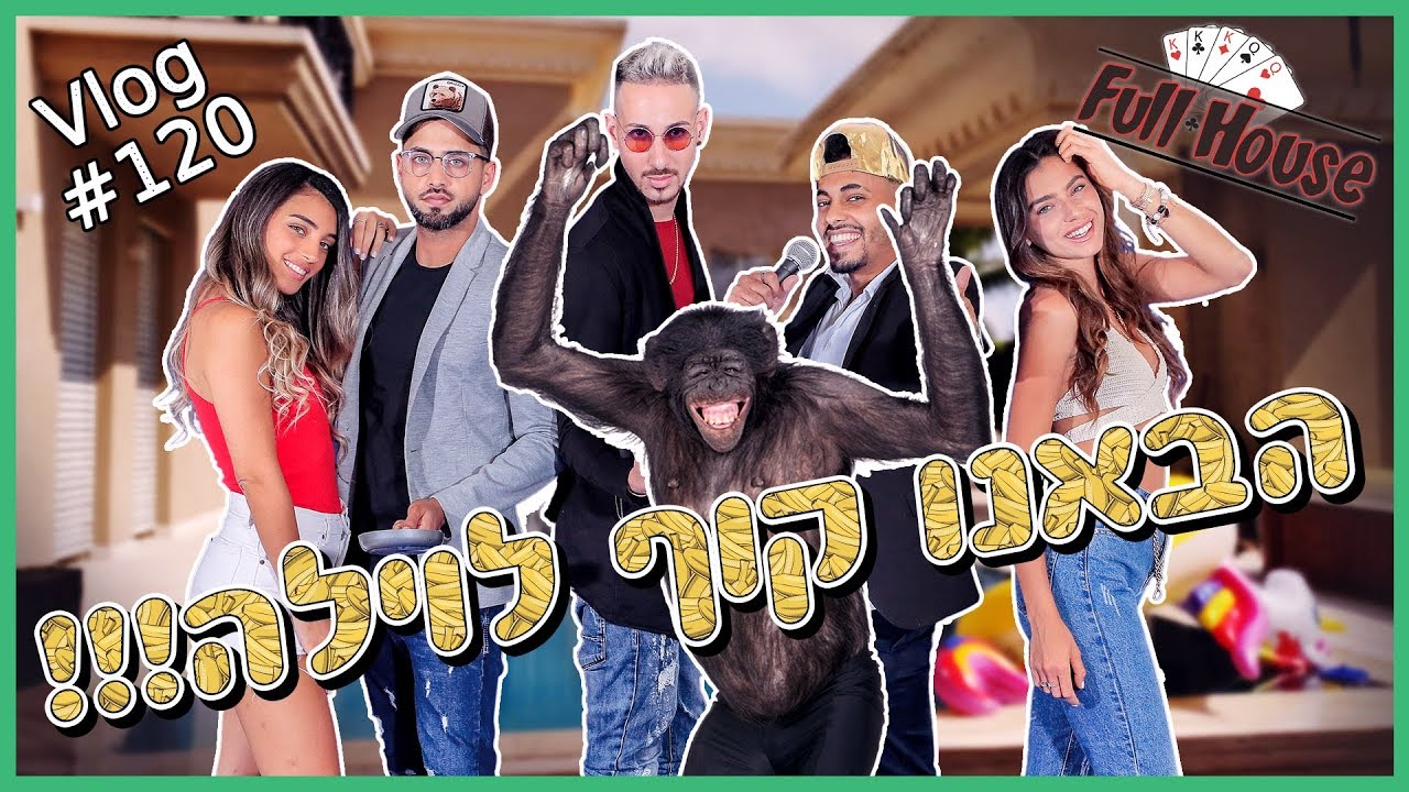 איך הבאנו קוף לוילה