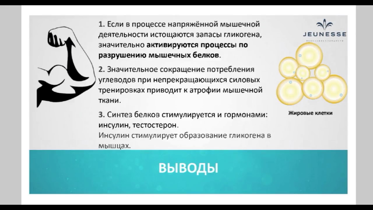 ZENPROJECT8 КАК СПОРТИВНОЕ ПИТАНИЕ  В ЧЕМ НАША СИЛА?  ВАРВАРА ВЕРЕТЮК 03 10 2017 Lyudmila Orlova