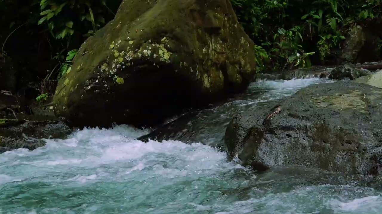 Flowing Forest Stream Sounds To Overcome insomnia, Relieve stress, Relax your mind