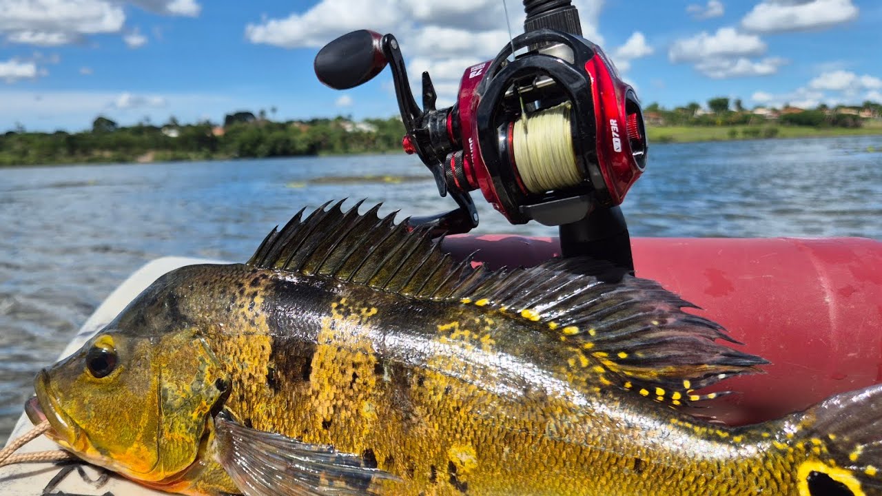 Pescaria de tucunaré na parte Norte do Lago Paranoá em Brasília.  #mererofishing 