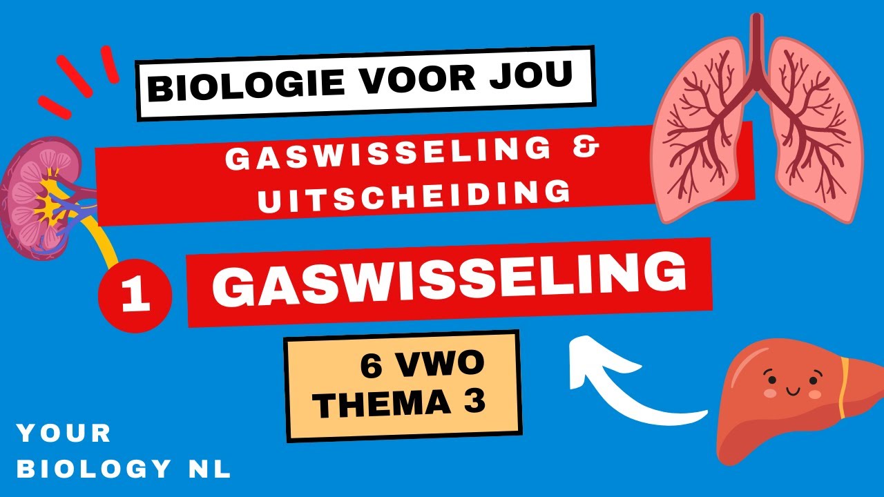 6 vwo | Gaswisseling & Uitscheiding | 1 | Gaswisseling