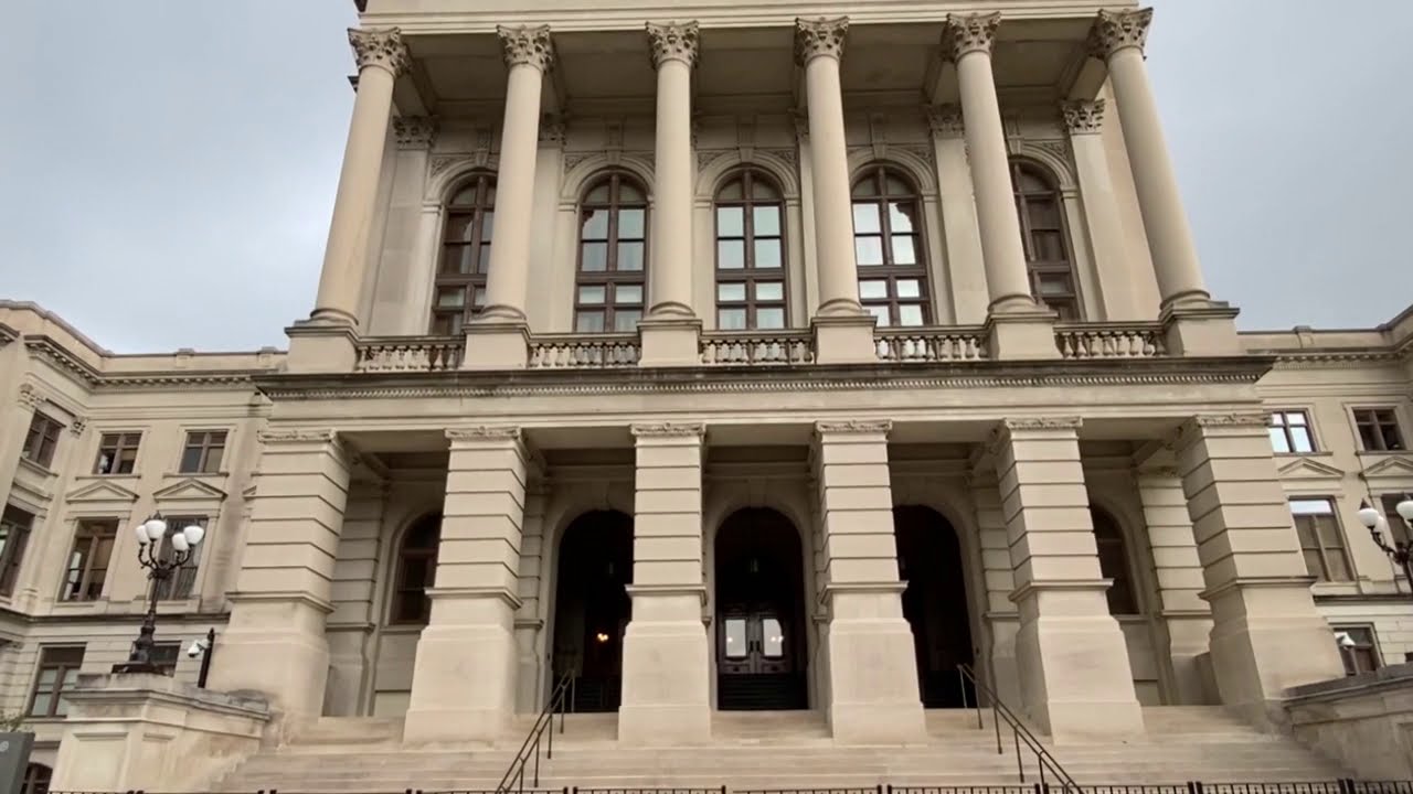 Who works in the Georgia's executive branch?