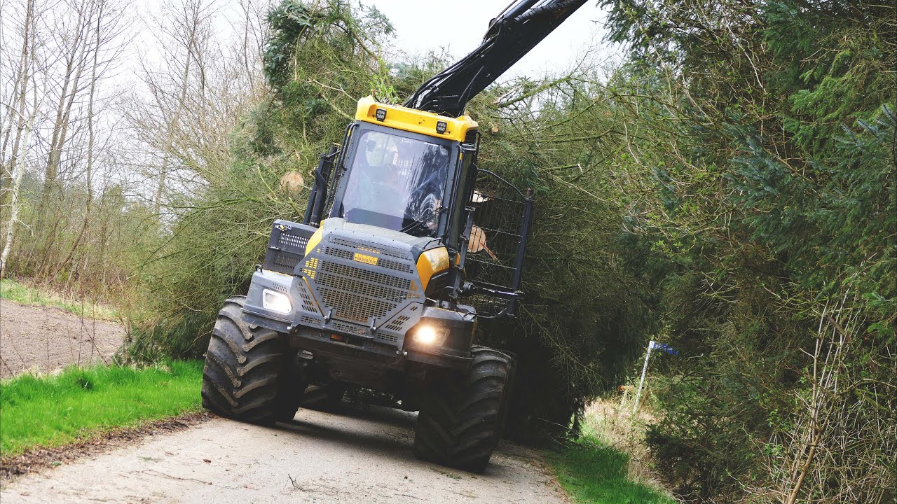 Ponsse Buffalo Forwarder | Cutting & Loading Woods | Skovbygaard