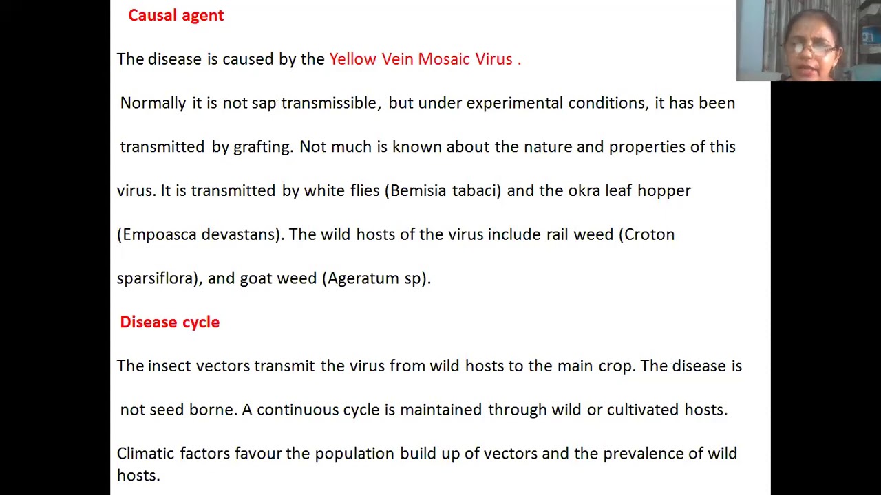 Yellow vein Mosaic of Bhindi Disease