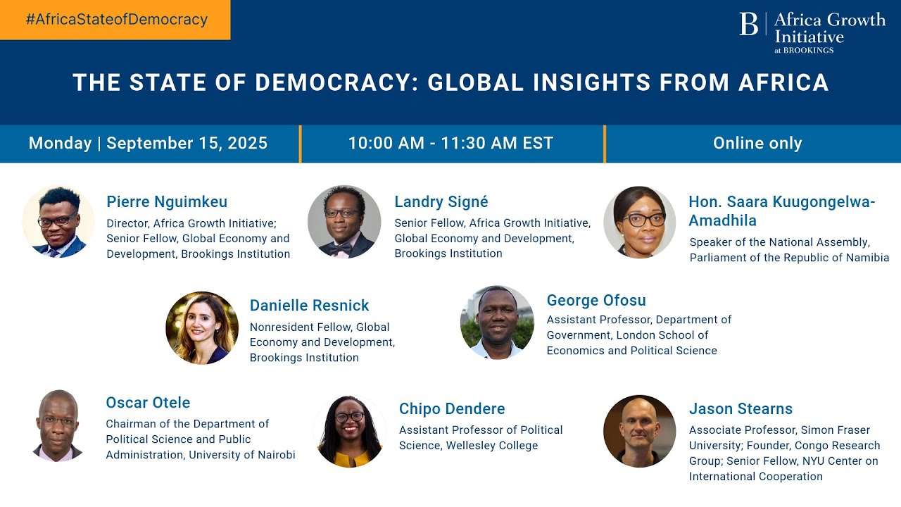 The state of democracy: Global insights from Africa