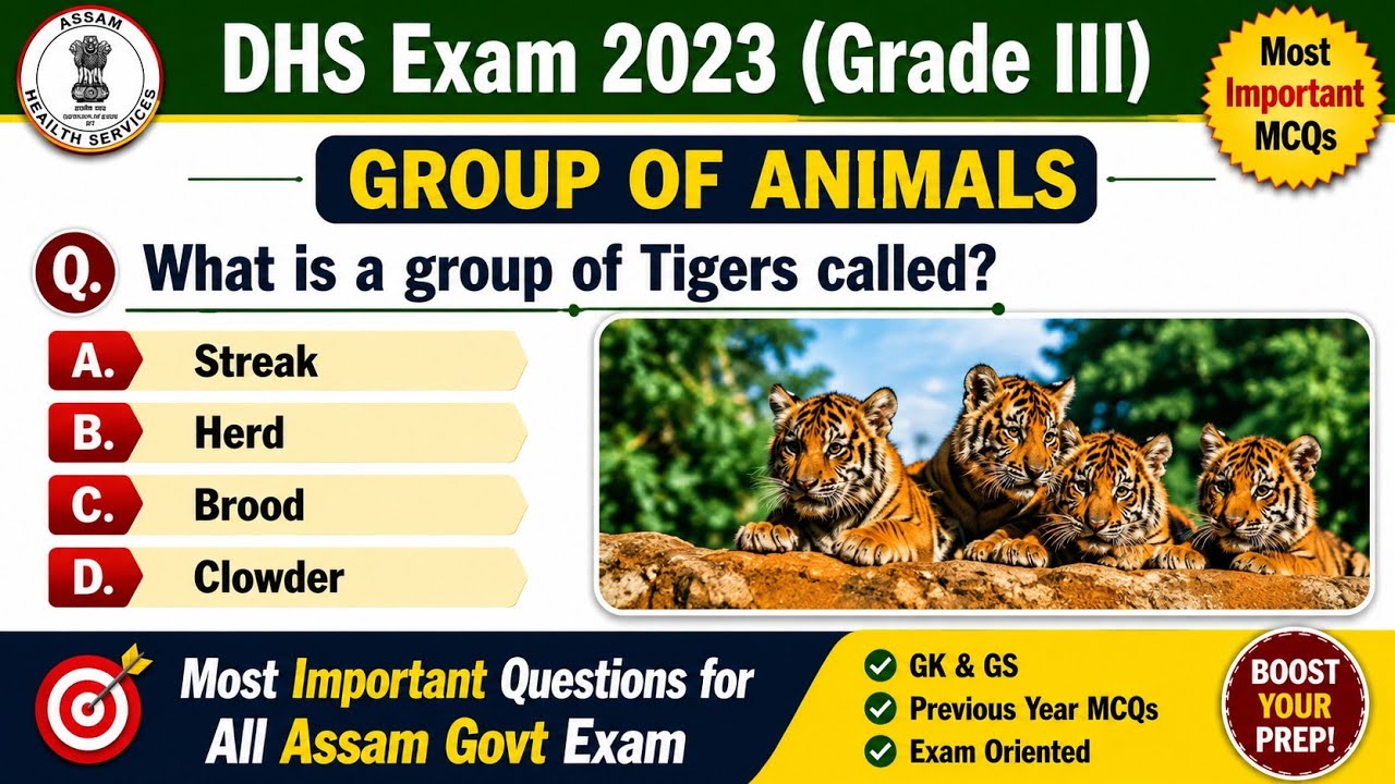 Group of Animals Questions for DHS Exam || Grade III Exam|| Important Questions