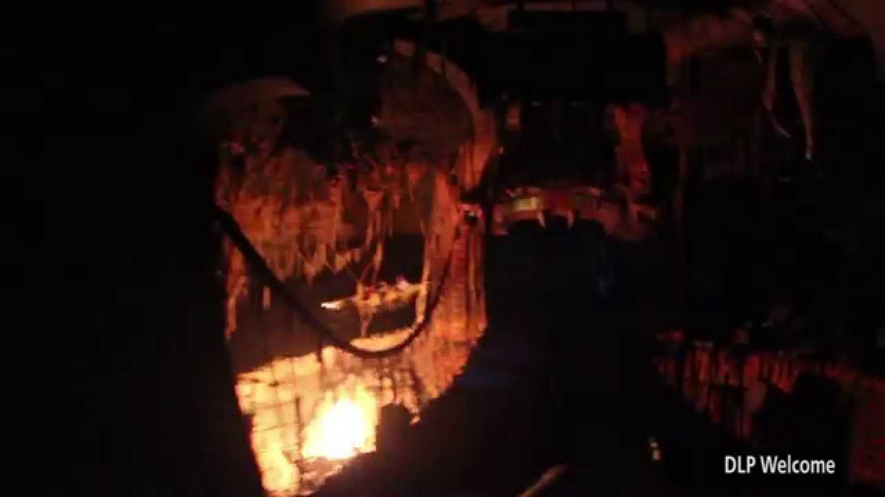 Indiana Jone Adventure - Disneyland Resort