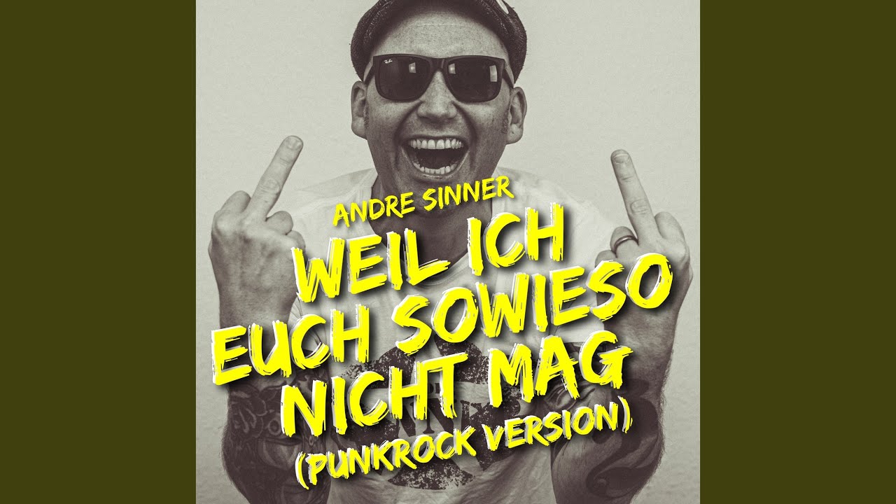 Weil ich euch sowieso nicht mag (Punkrock Version)