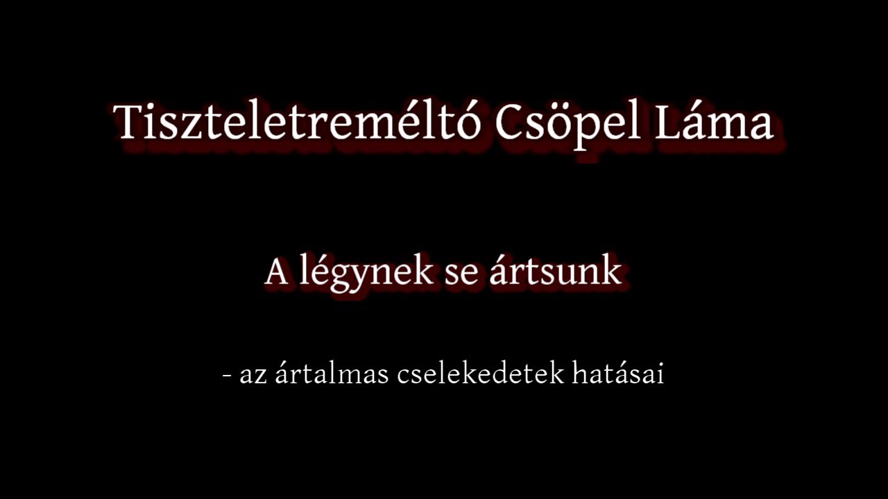 Tudatépítés - A légynek se ártsunk - az ártalmas cselekedetek hatásai (tanítás)