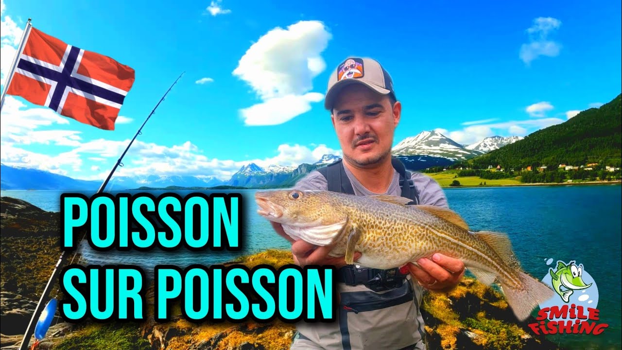 Pêche du bord en Norvège (aux leurres) !🎣 Dans le fjord sous notre gîte. 