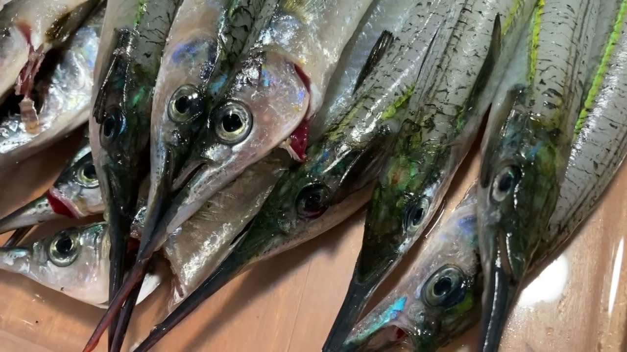 How to fillet Garfish and make your own burley